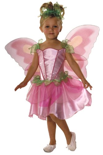 Let's Pretend Child's Springtime Fairy Costume with Wings, Small