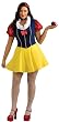 Plus Size Snow White Costume - Womens Full