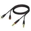 ah Cables ProCab Serie REF631 Twin Instrumentenkabel 2 x 6,5 mm Klinke mono auf 2 x Cinch male 3 m