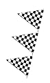120' Checkered Outdoor Pennant Banner