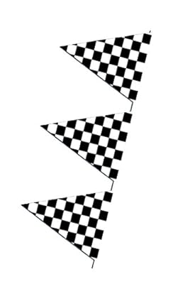 120' Checkered Outdoor Pennant Banner