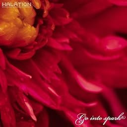 Go into spark(DVD付)