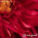 Go into spark(DVD付)