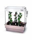 American Educational 44510 Jewel Single Hydroponic Tabletop Planter with Lights Fixture and Bulbs, 24