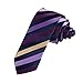 DAE7A19-21 Business Groomsmen Woven Microfiber Stripes Skinny Tie By Dan Smith