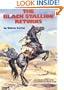 The Black Stallion Returns