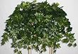 24" Deluxe English Ivy Ledge Garden