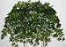 24 Deluxe English Ivy Ledge Garden
