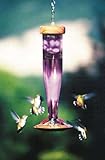 UPC 810070001063 product image for Schrodt Designs Model HBL-A Amethyst Hummingbird Feeder | upcitemdb.com