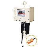 電動 電気 チェーンブロック 型式 JC250kg×6ｍ 定格荷重 250kg 揚程 6m 巻上速度 3.5 m/分 チェーン径 4 mm 電源 100V 50/60Hz 電動機 250 W スリーエ