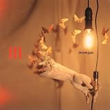 Flight Of The Luminous Insects