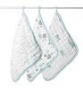 aden + anais Muslin Washcloth Set 3-Pack - Aqua and Silver