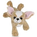 Webkinz - Chihuahua