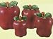 APPLE 3-D Canisters Set of 4 ^NEW^ Canister