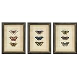 IMAX Butterfly Collection Wall Art Set Of 3