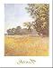 Oat Fields by Claude Monet Fine Art Print / Poster 20.00 x 28.00 in.