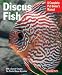 Barron's Publishing Discus Fish (revised Edition)