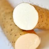 長芋(長いも)【産地直送】ねばりっこ鳥取県産【砂丘(長芋)の交配種】3kg【3L×2本入り】 料理レシピ付 長芋(長いも)【産地直送】ねばりっこ鳥取県産【砂丘(長芋)の交配種】3kg【3L×2本入り】 料理レシピ付