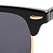 Flowertree Rb3016 Browline Sunglasses