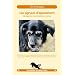 Les signaux d'apaisement : Les bases de la communication canine