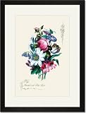 Black Framed/Matted Print 17x23, Ensemble with Pick Rose