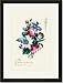Black Framed/Matted Print 17x23, Ensemble with Pick Rose