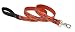 Lupine 1" Go Go Gecko 6-Foot Dog Lead,$17.00