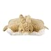 Aromahome Pillow Friendz Brown Bunny
