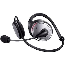 Multimedia Headset