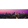 Unframed Posters - New York Skyline (12 x 36")