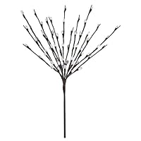 Floral Lights Lighted Pussy Willow Branch with 60 Bulbs, 20 inches