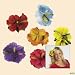 Hibiscus Flower Luau Hair Clips (12 pcs)
