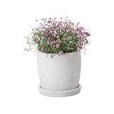 ベーシックプランター　ラウンド　直径12cm