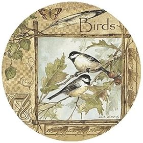 Set of Four Birds of a Feather Drink Coasters - Style TSAP4 by Gift Warehouse
