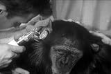Ham the Chimp Space Flight Film: Trailblazer in Space (1961) (DVD)