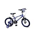 Concept Boy's Spider Bike - Blue, 16 Inch