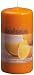 Ivyline Bolsius 120 x 60 mm Scented Pillar Candle, Juicy Orange