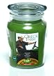 Green Apple Filled Jar Candle, Made with Soy Wax