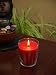 Filled Candle in Carmona Jar- Juicy Apple Scent, 12.5 oz