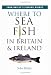 Where to Sea Fish in Britain and Ireland (John Bailey's Fishing Guides)