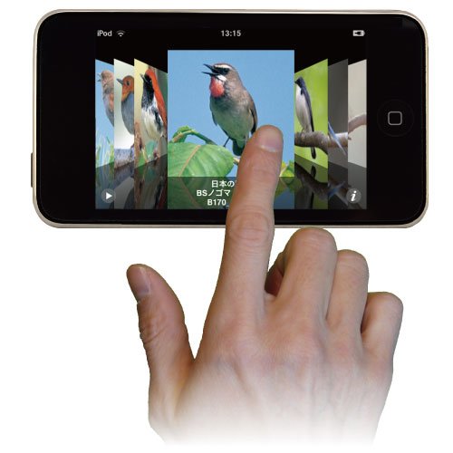 Cover image : Birdsong for iPod