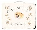 Pomeranian Spoiled Rotten Slate
