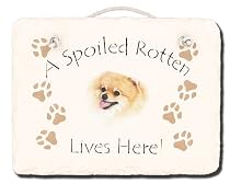 Pomeranian Spoiled Rotten Slate