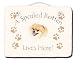 pomeranian15 - Pomeranian Spoiled Rotten Slate