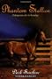 Phantom Stallion #3: Dark Sunshine