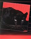 Tropical Black Panther Cat Animal Wildlife Picture Art Print