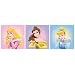 Decofun, Disney Princess Wall Art, Self Adhesive Stickers
