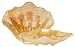 Bottom Surface Painted Glass Amber Color Scallop Shell Small Bowl 10" D