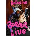 Borderlive Tour