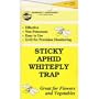 Yellow Sticky Aphid Whitefly Trap Pack of 15